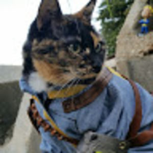 Meet your Posher, Ryanne